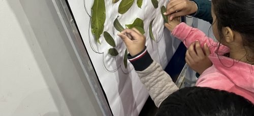 IMG_7053 IMG_7053