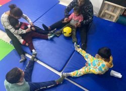 Group activity, turn taking, ball catch and throw, hand eye coordination , propioceptive input, ball skills Group activity - turn taking, ball catch and throw, hand eye coordination , proprioceptive input, ball skills